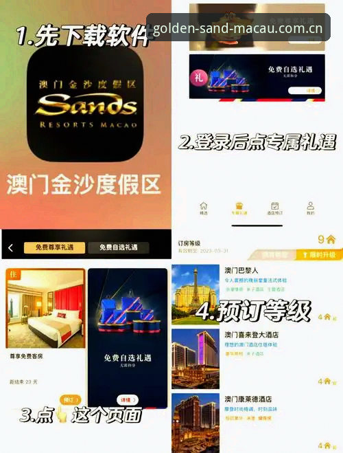 沙金安装平台完整使用指南：从下载到畅享的每一步